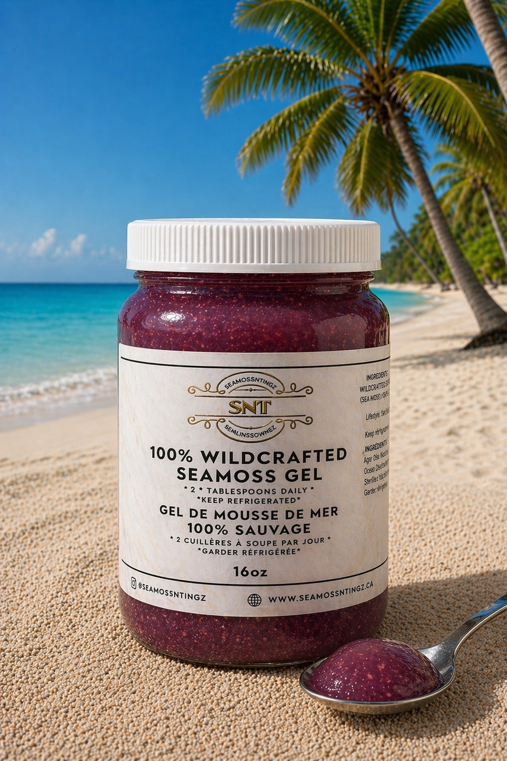 Wildcrafted Purple Sea Moss Gel