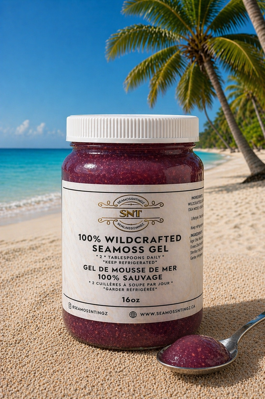 Wildcrafted Purple Sea Moss Gel (16oz)