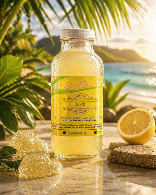 12 Pack of Golden Delight Sea Moss Lemonade