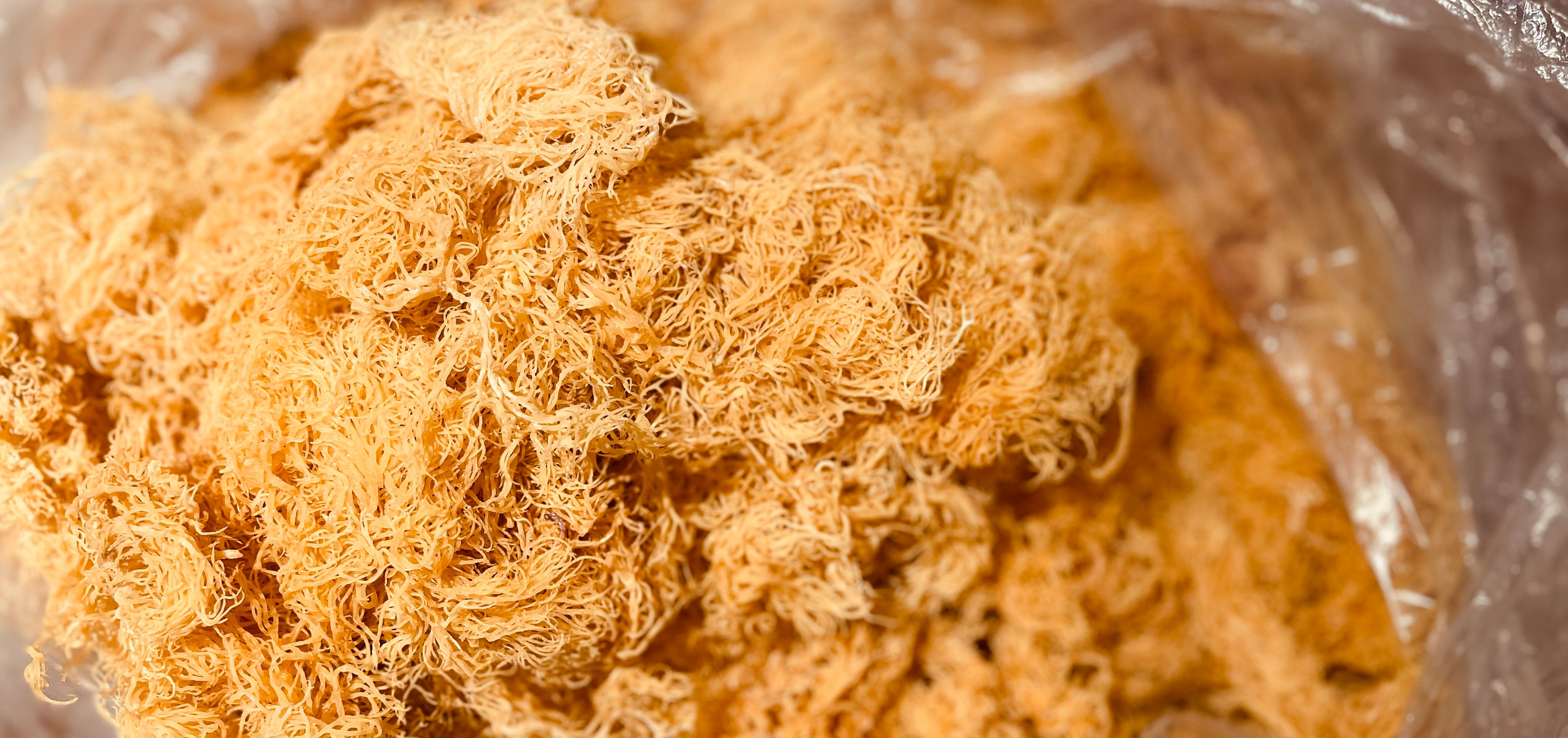 Sea Moss N Tingz | Premium Alkaline Sea Moss Gel | Toronto Canada